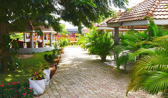 Grounds